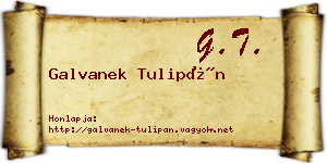 Galvanek Tulipán névjegykártya